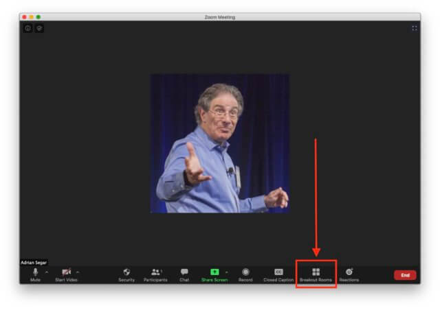 participant-driven breakouts in Zoom: a screenshot of Adrian Segar's Zoom host screen, highlighting the menu's Breakout Rooms icon